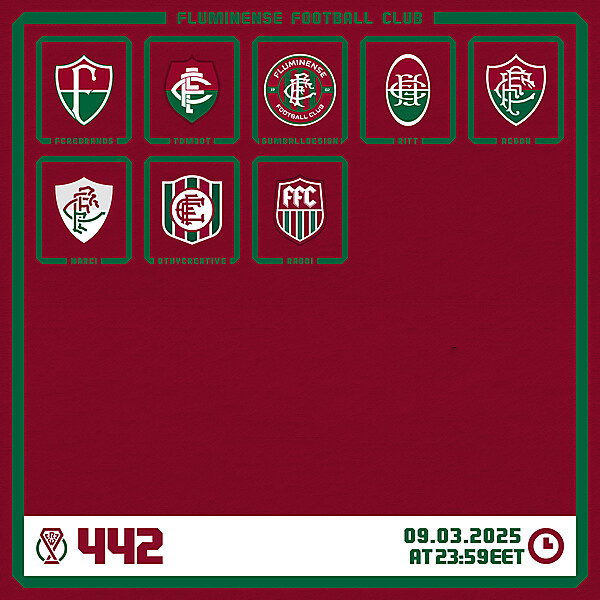 CRCW 442 - VOTING PHASE - FLUMINENSE FC