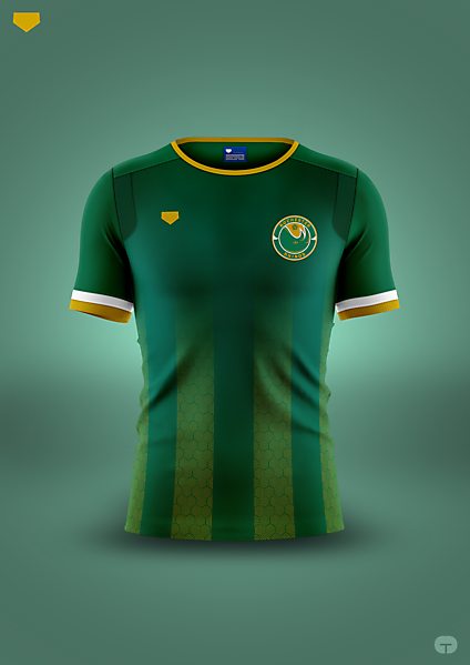 Rochester Rhinos [away]