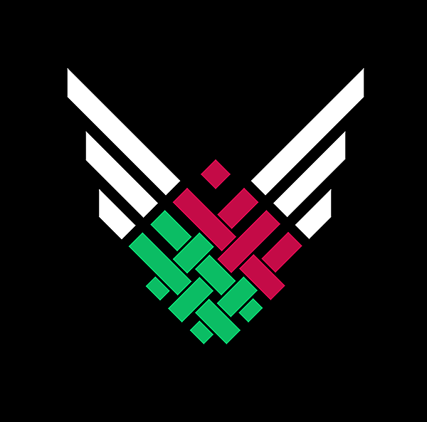 Belarus National team white wings alternate logo idea