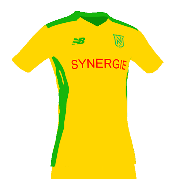 Nantes home