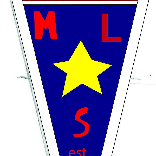 MLS  custom logo 2015