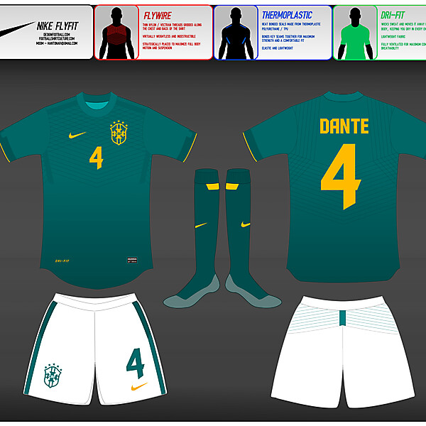 (2) Nike Fly-Fit  : Brasil
