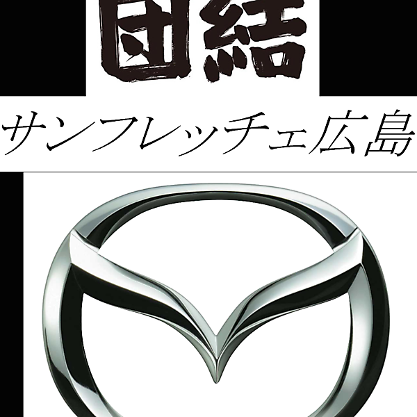 Sanfre Comp rules and logos.