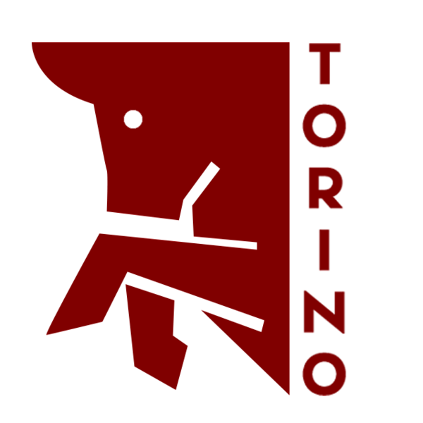 TORINO FC REBRAND