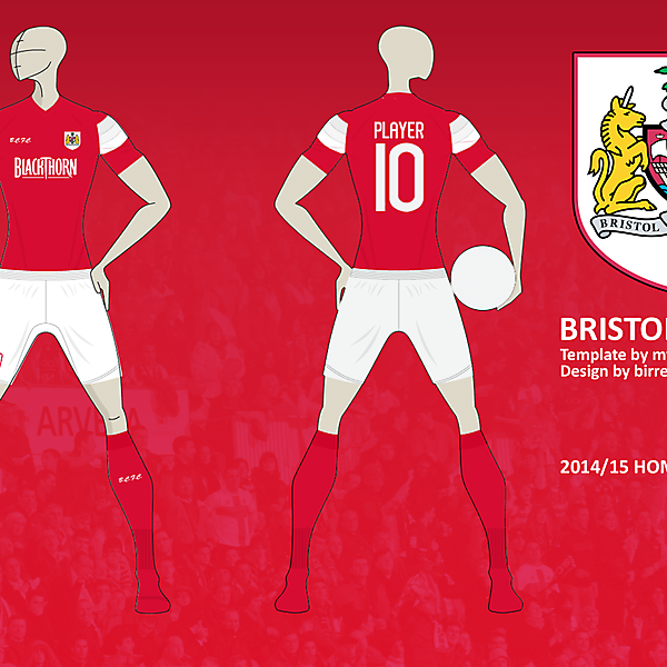 Bristol City FC Home Kit