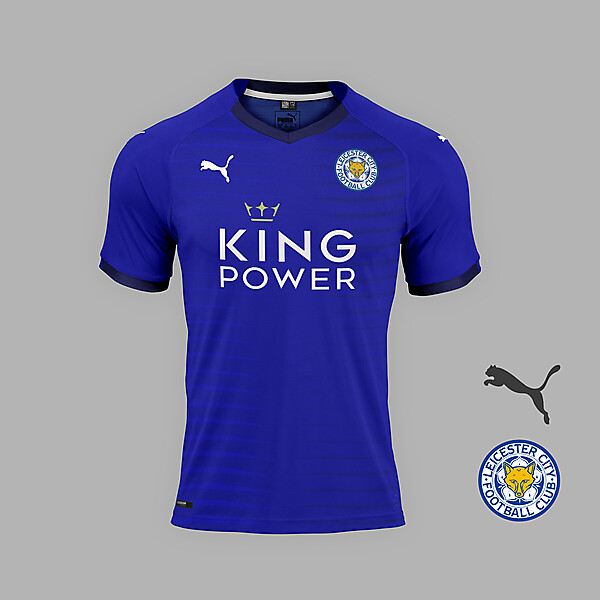 Leicester City home concept.
