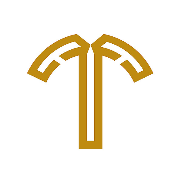 Cape Town City logo.