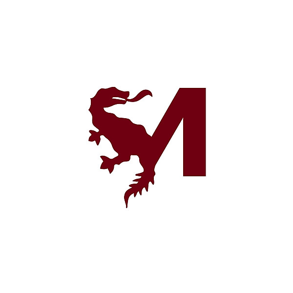 FC Metz logo .